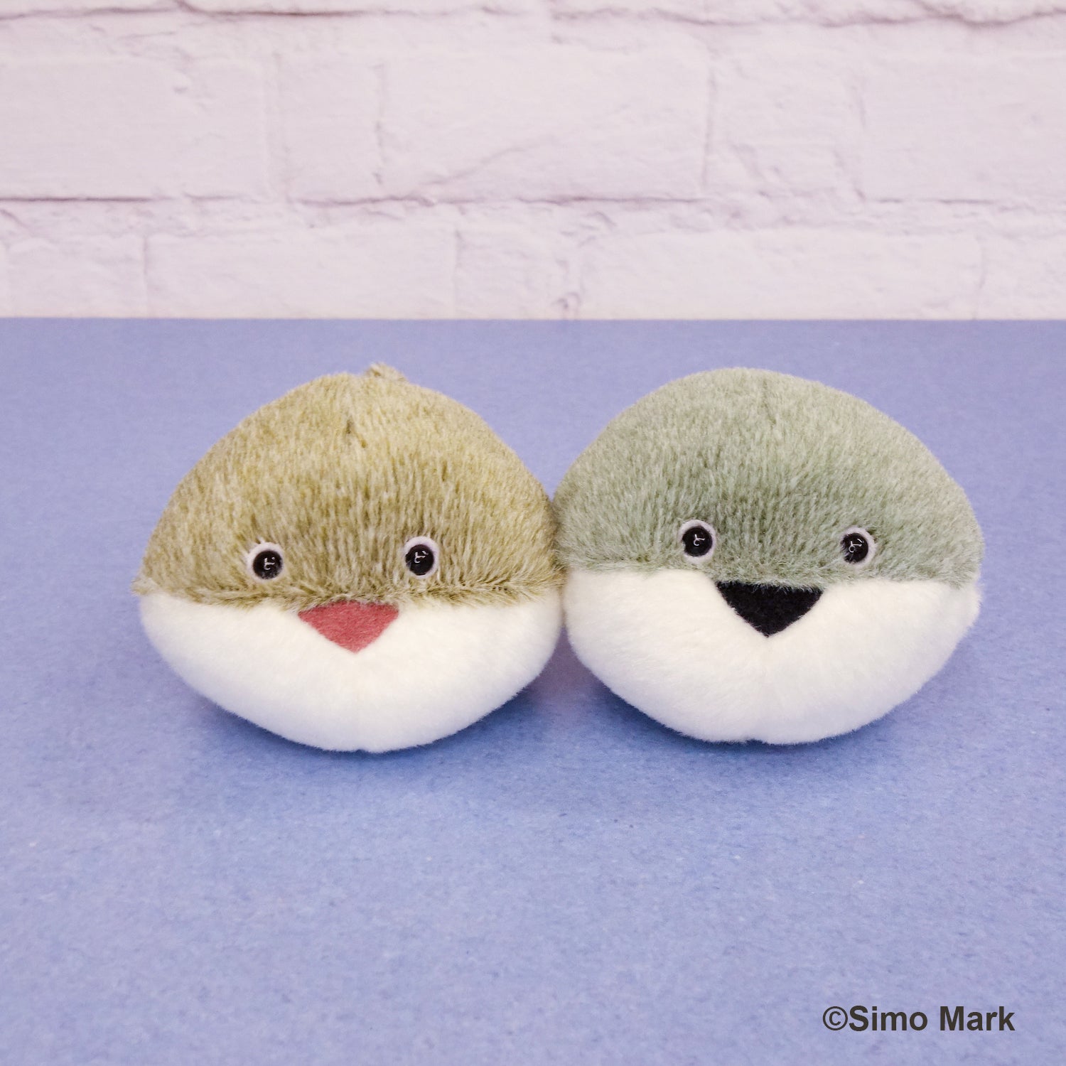 海中散歩 – nipopo