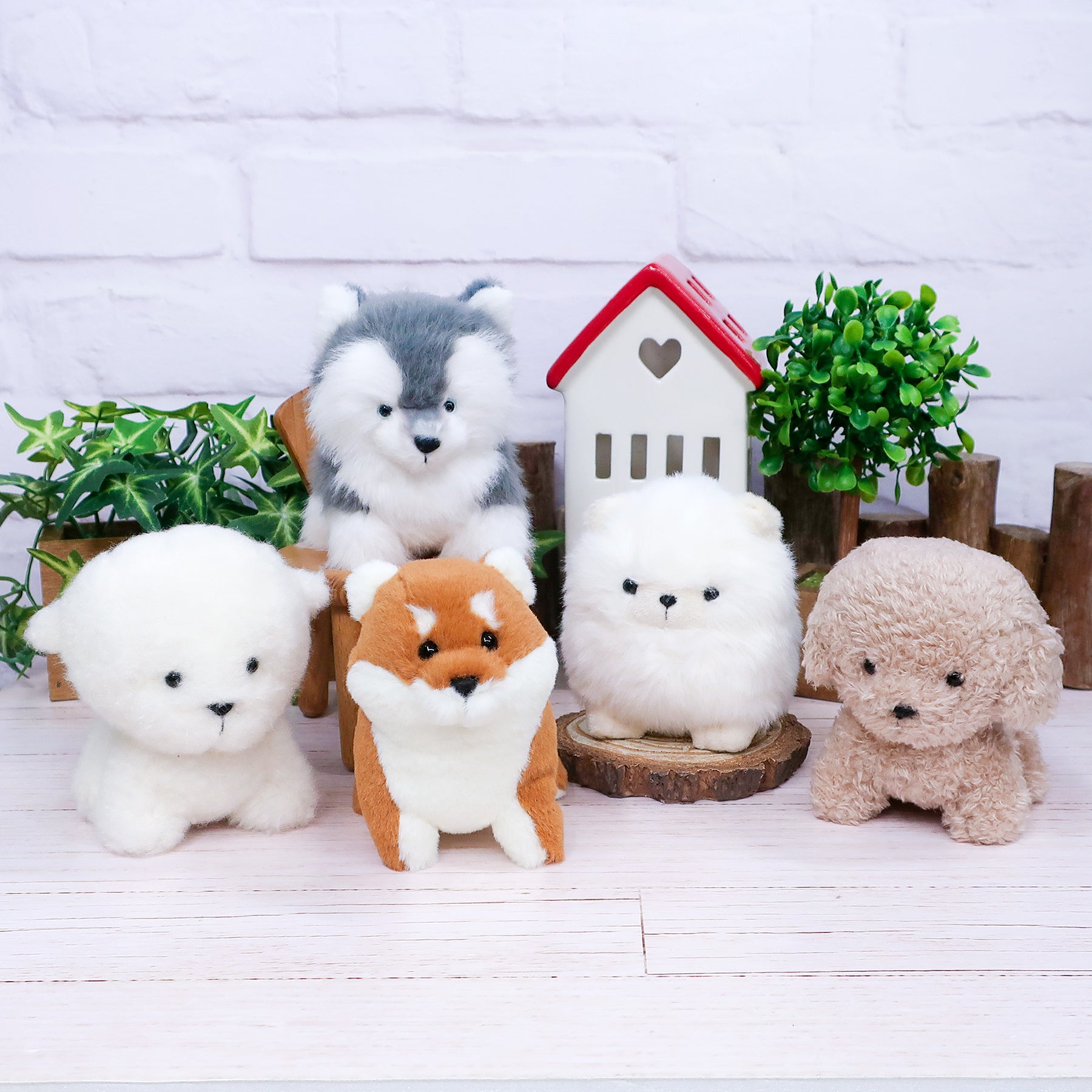 犬のなかま わたぽ ぬいぐるみ【全4種】 – nipopo