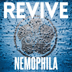 NEMOPHILA 1st Album「REVIVE」リリース!! | NEMOPHILA Official Website