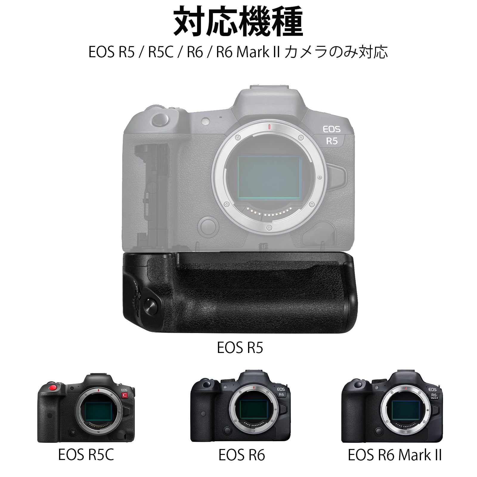 NEEWER BG-R10 Canon用 バッテリーグリップ 交換用 – NEEWER.JP