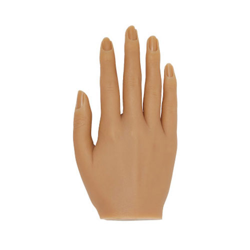 ☆ KOKOIST マイハンドモデル アーモンド 右手 の通販｜ネルパラ