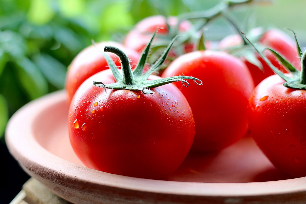 Fresh Tomatoes on a Plate Royalty Free Photo