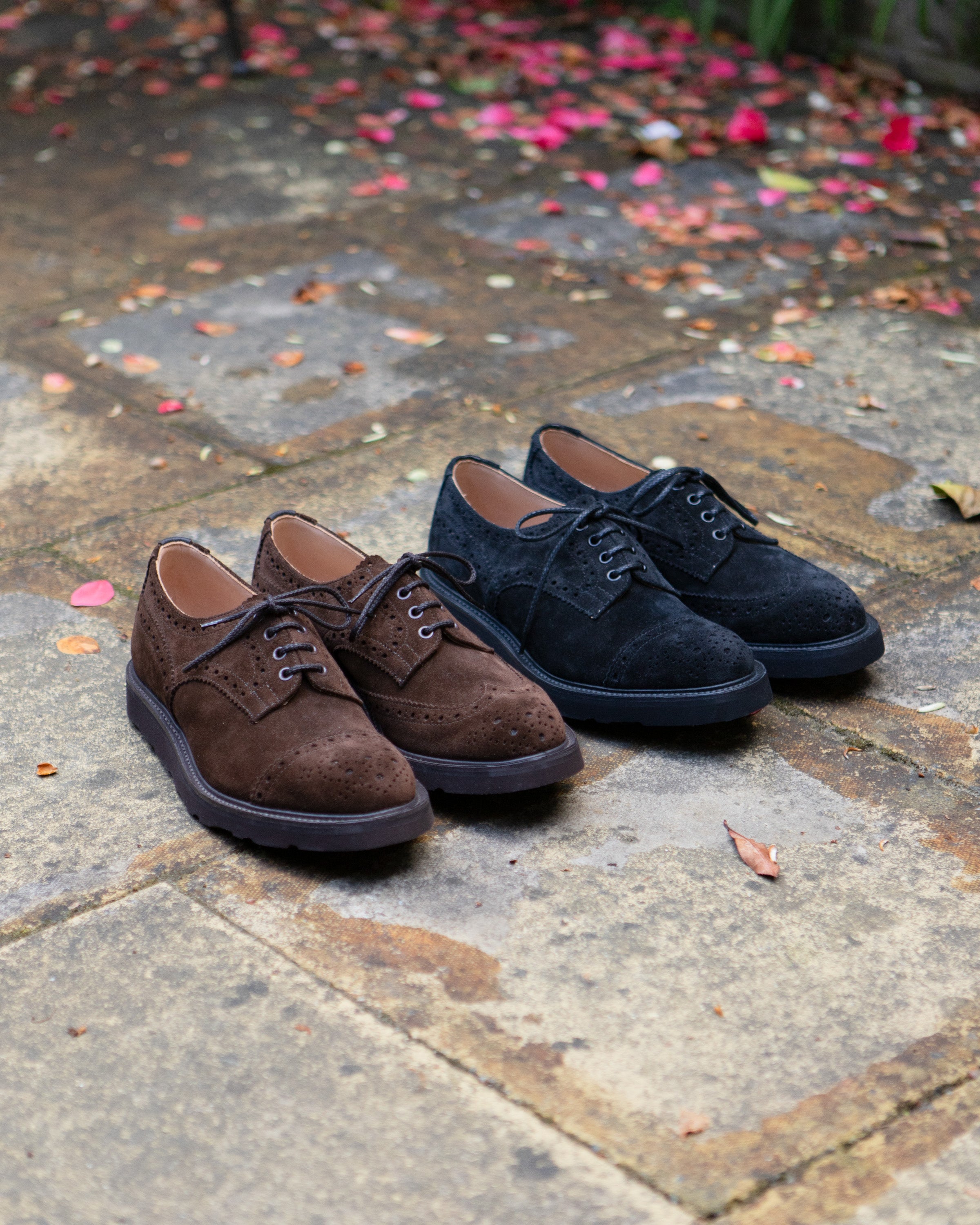 Nepenthes x Trickers | Nepenthes London