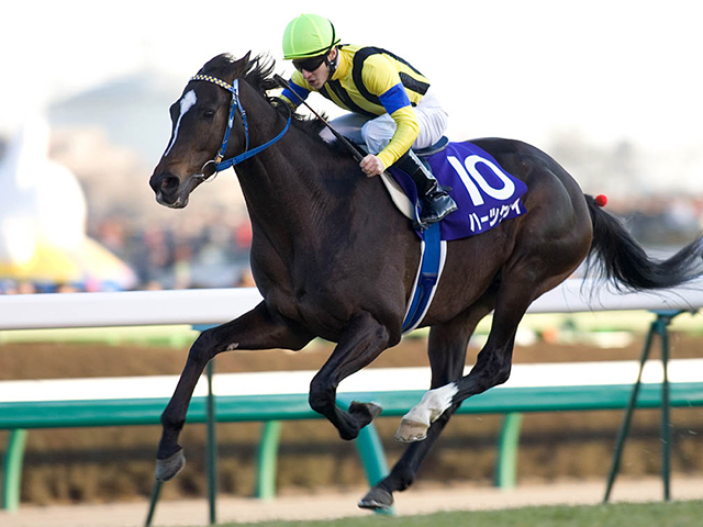 ディープインパクト唯一の国内敗戦 ハーツクライが制した20年前の有馬