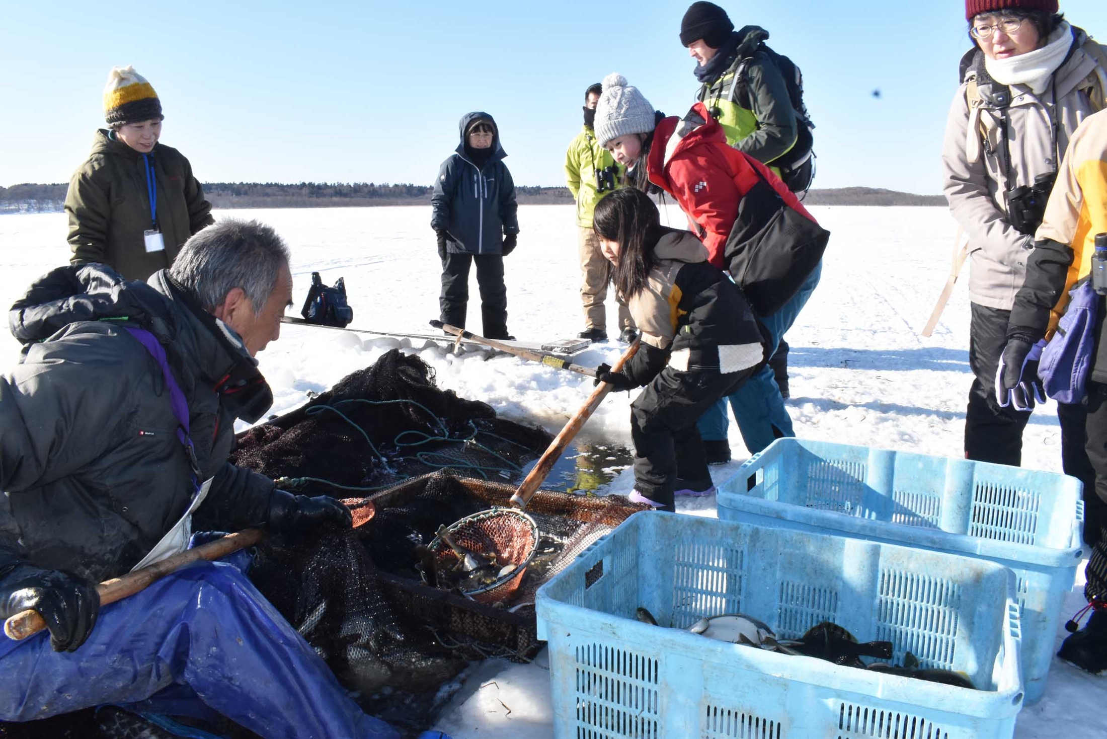 風蓮湖でオオワシ撮影 氷下待網漁を見学 北海道根室市（釧路新聞電子版