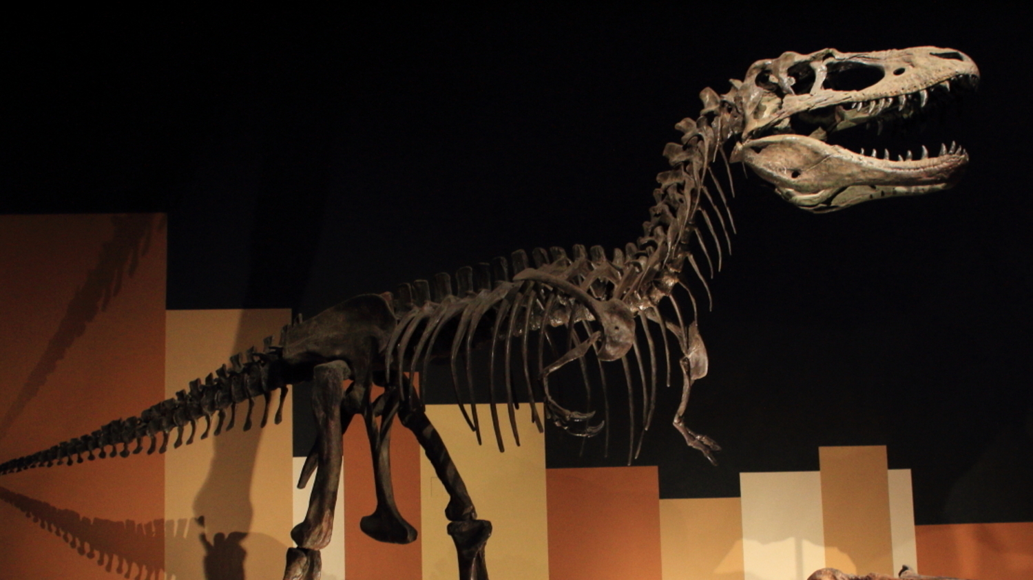 恐竜絶滅に新説〜とどめを刺したのは「火山噴火」か（石田雅彦