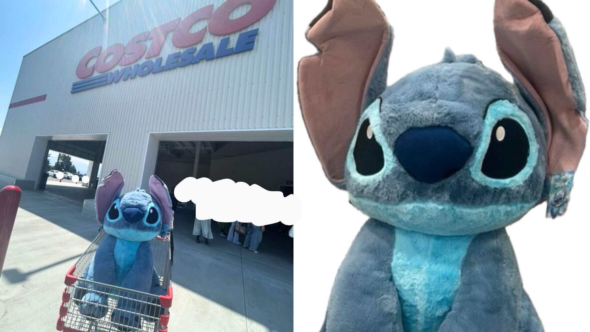 コストコ】開店待ちでも買えない！？今話題の商品（コストコ浜美