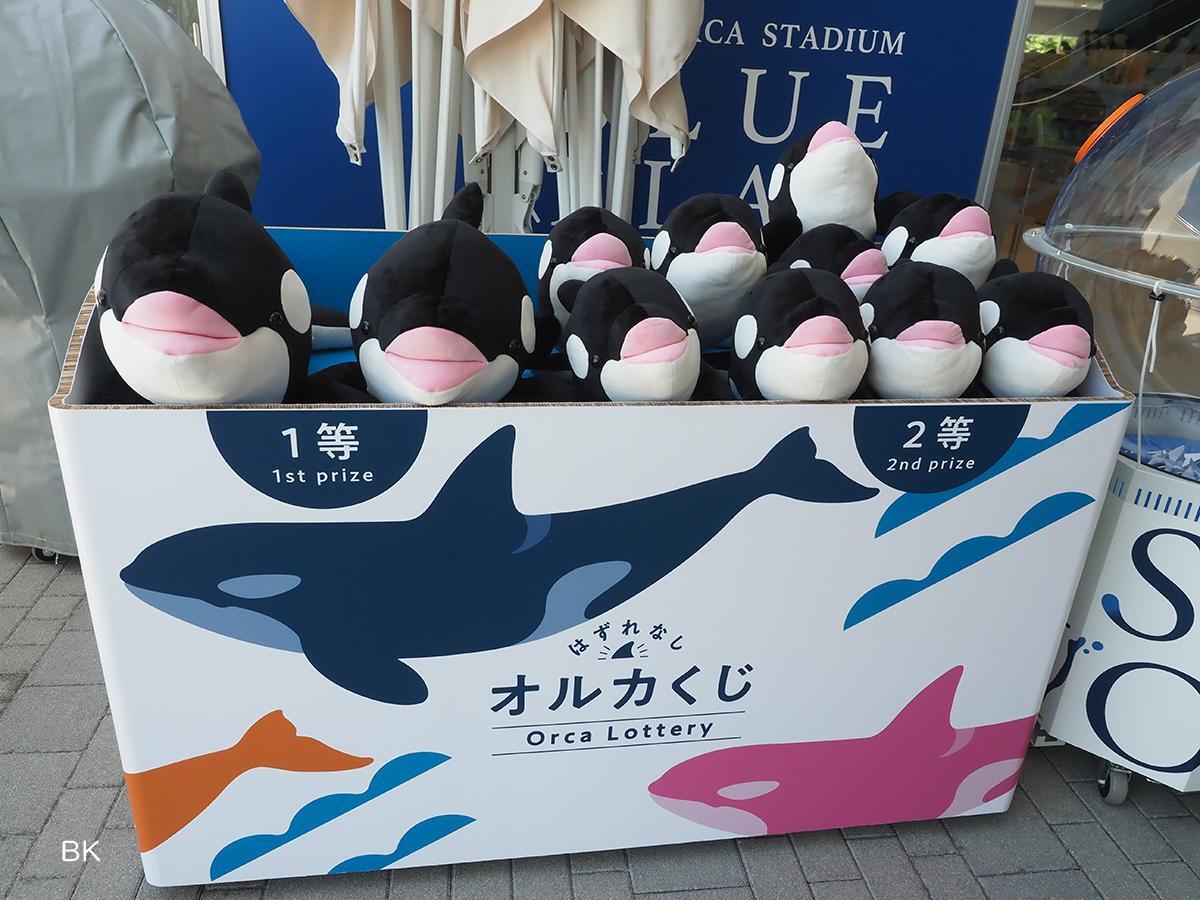 神戸市】大人気!ぬいぐみが必ず当たる 「オルカくじ＆ドルフィンくじ