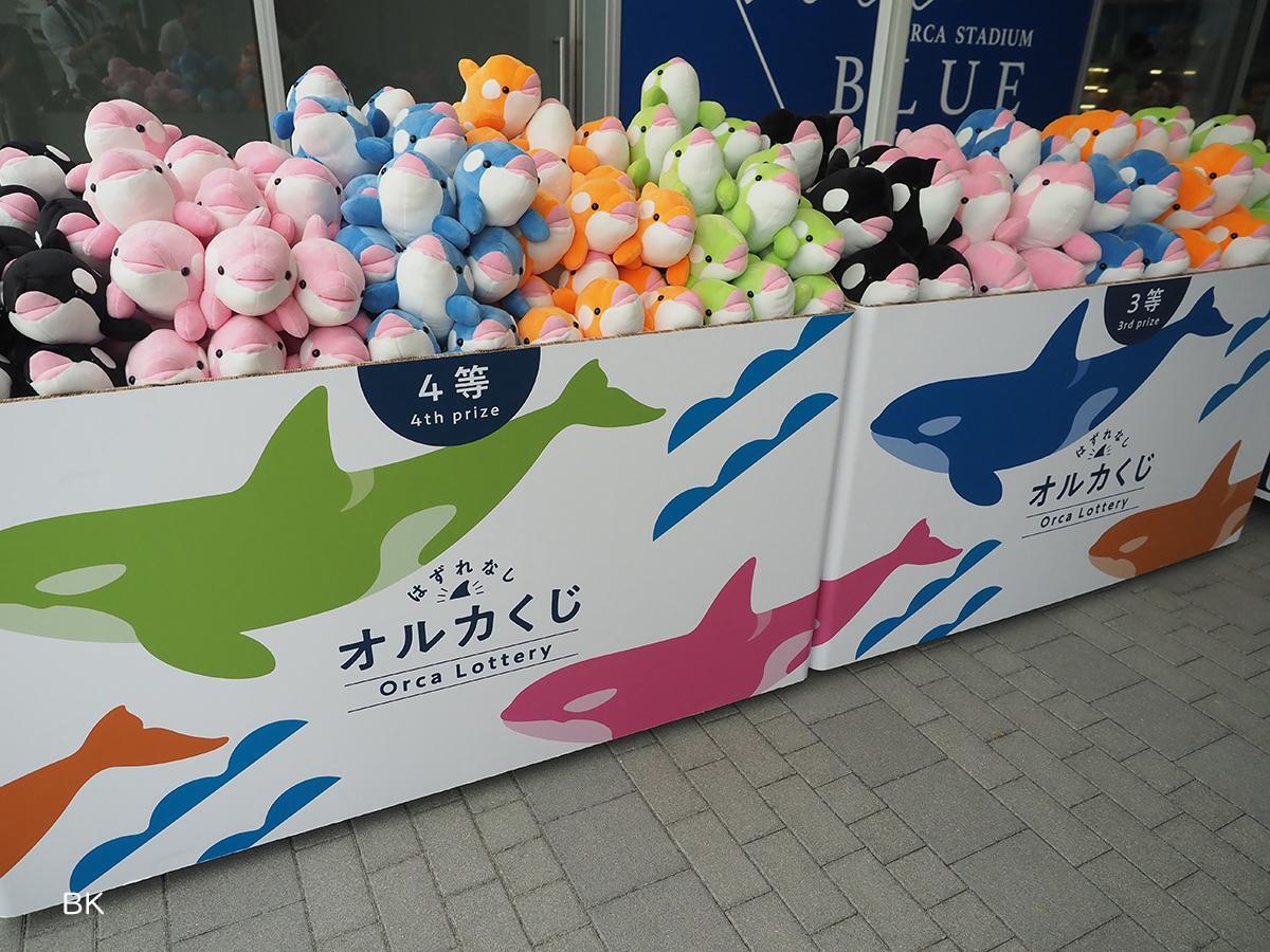 神戸市】大人気!ぬいぐみが必ず当たる 「オルカくじ＆ドルフィンくじ