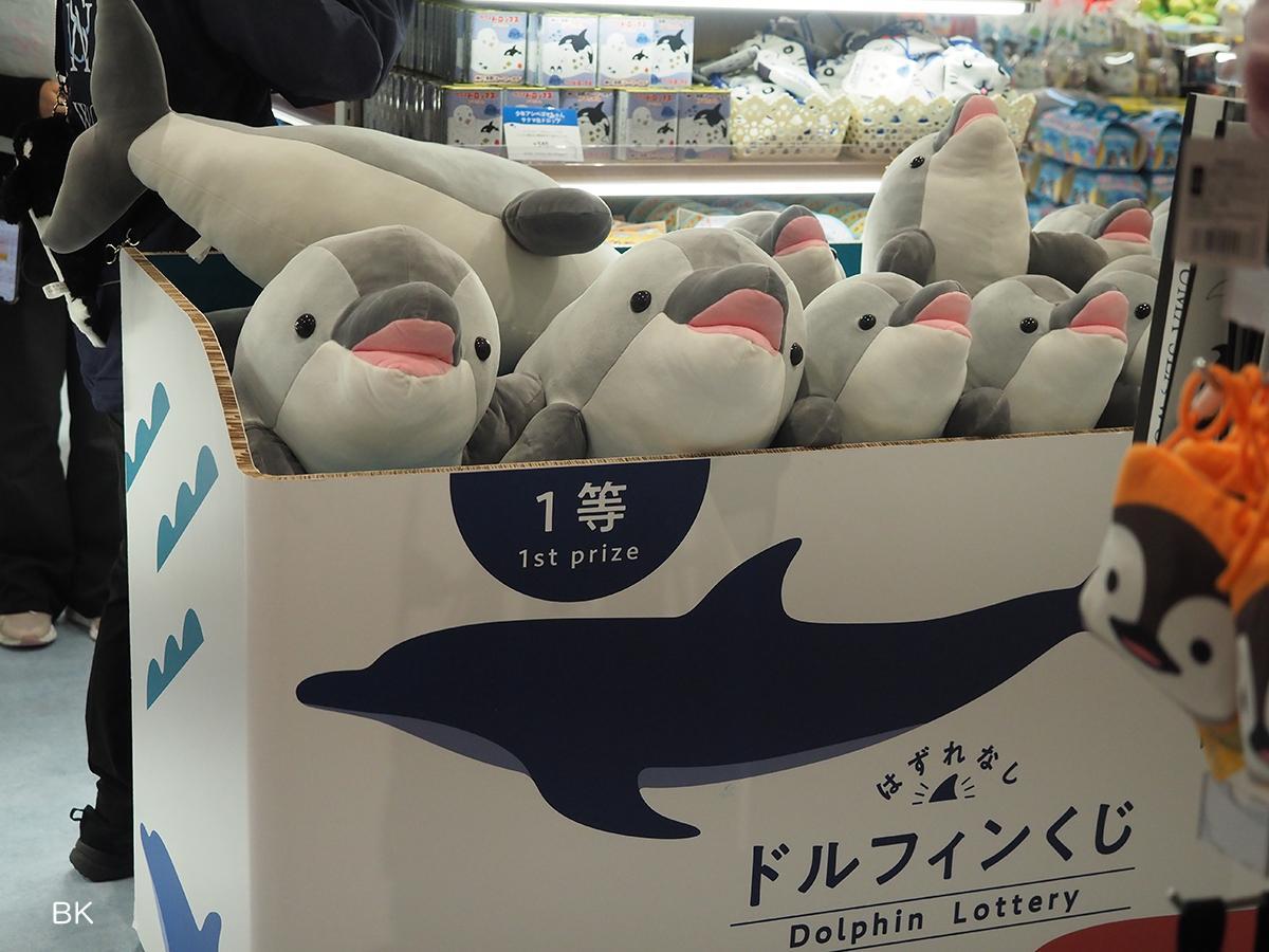神戸市】大人気!ぬいぐみが必ず当たる 「オルカくじ＆ドルフィンくじ
