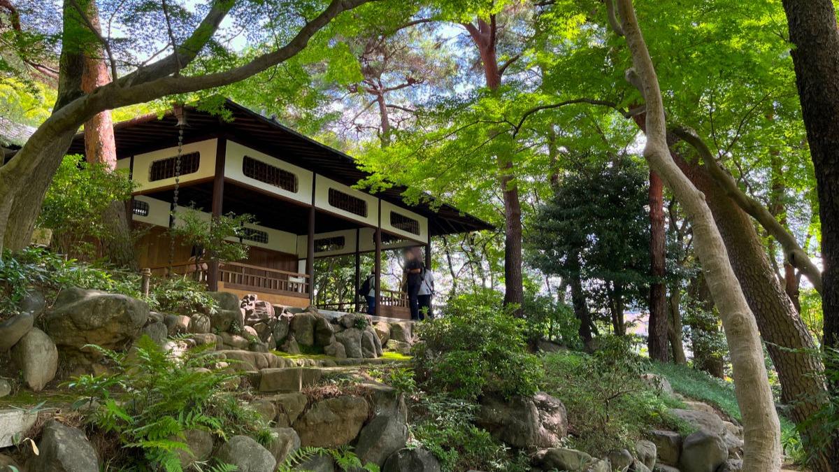 駅から徒歩2分の国指定名勝！起伏のある地形をいかした「殿ヶ谷戸庭園