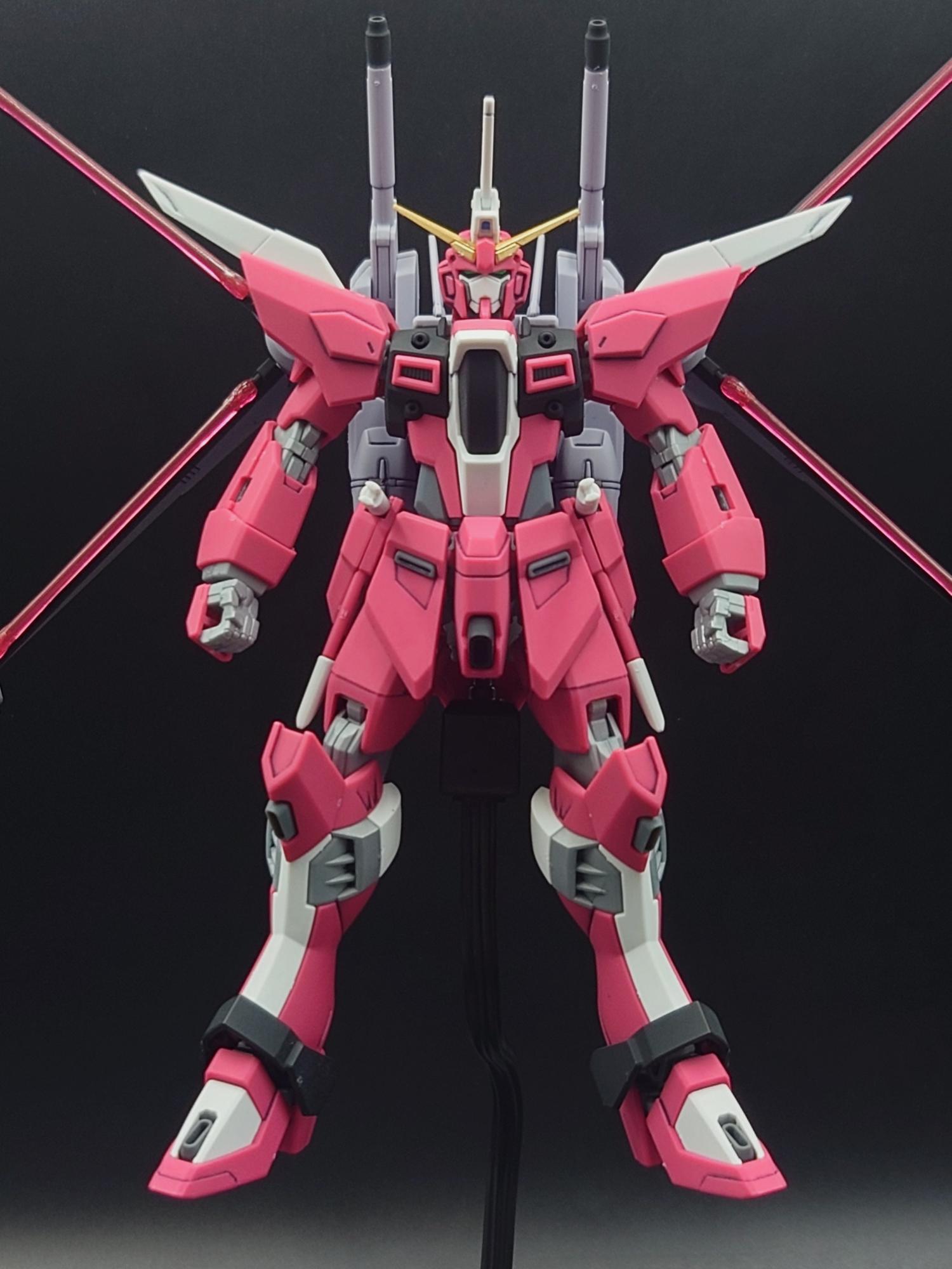 ズゴックから生まれ落ちた注目機【HGインフィニット ジャスティス