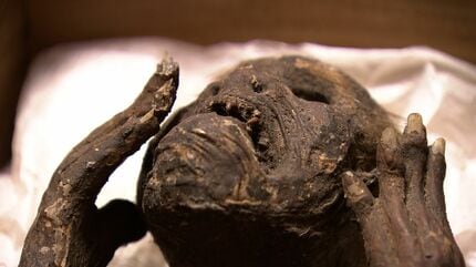 密着1年！徹底解説】寺に眠る “人魚のミイラ” 解明プロジェクト ついに