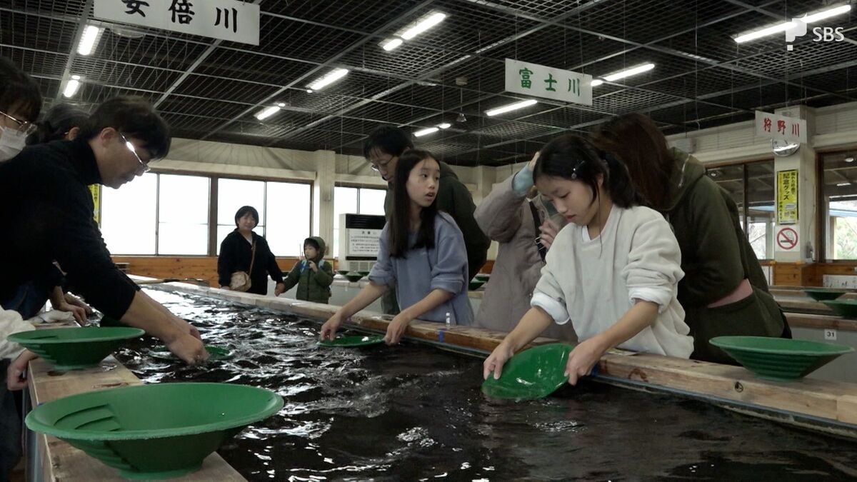 いろは@様 土肥金山 砂金 砂金採りに挑戦！西伊豆・土肥金山で貴重な