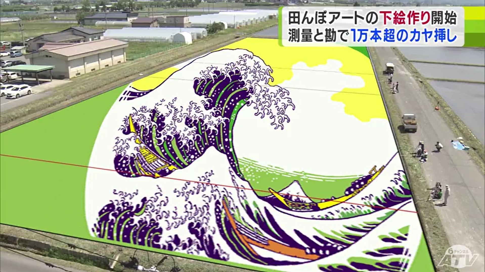 田んぼアート「元祖発祥の地のプライド」 下絵づくりの作業で1万本以上