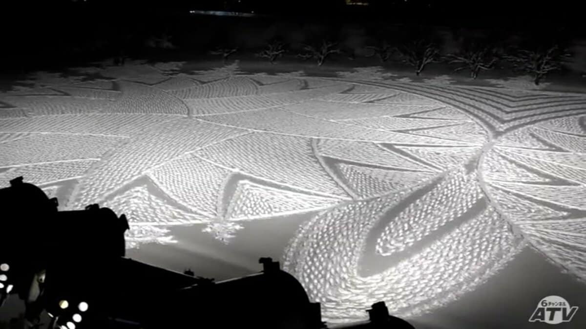 冬の田んぼアート」が完成！ 手がけたのは第一回の作品を担当した