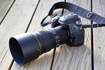 ニコン「AF-S NIKKOR 300mm f/4E PF ED VR」実写レビュー - 小さくて