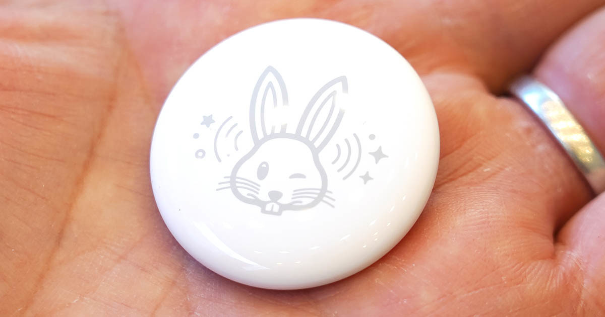Apple Air Tag 本体 ウサギ 兎、辰 エアタグ限定品 各1個 Apple