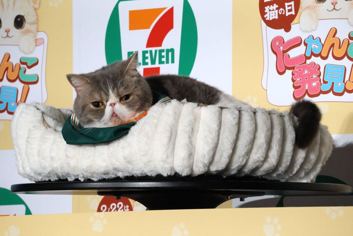 セブン-イレブン】猫の日「にゃんこ発見!」スイーツなど全6商品を一挙