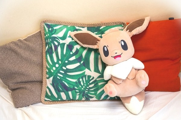 激カワ注意】愛が止まらなくなる!? 「I LOVE EIEVUI」な日常に密着して