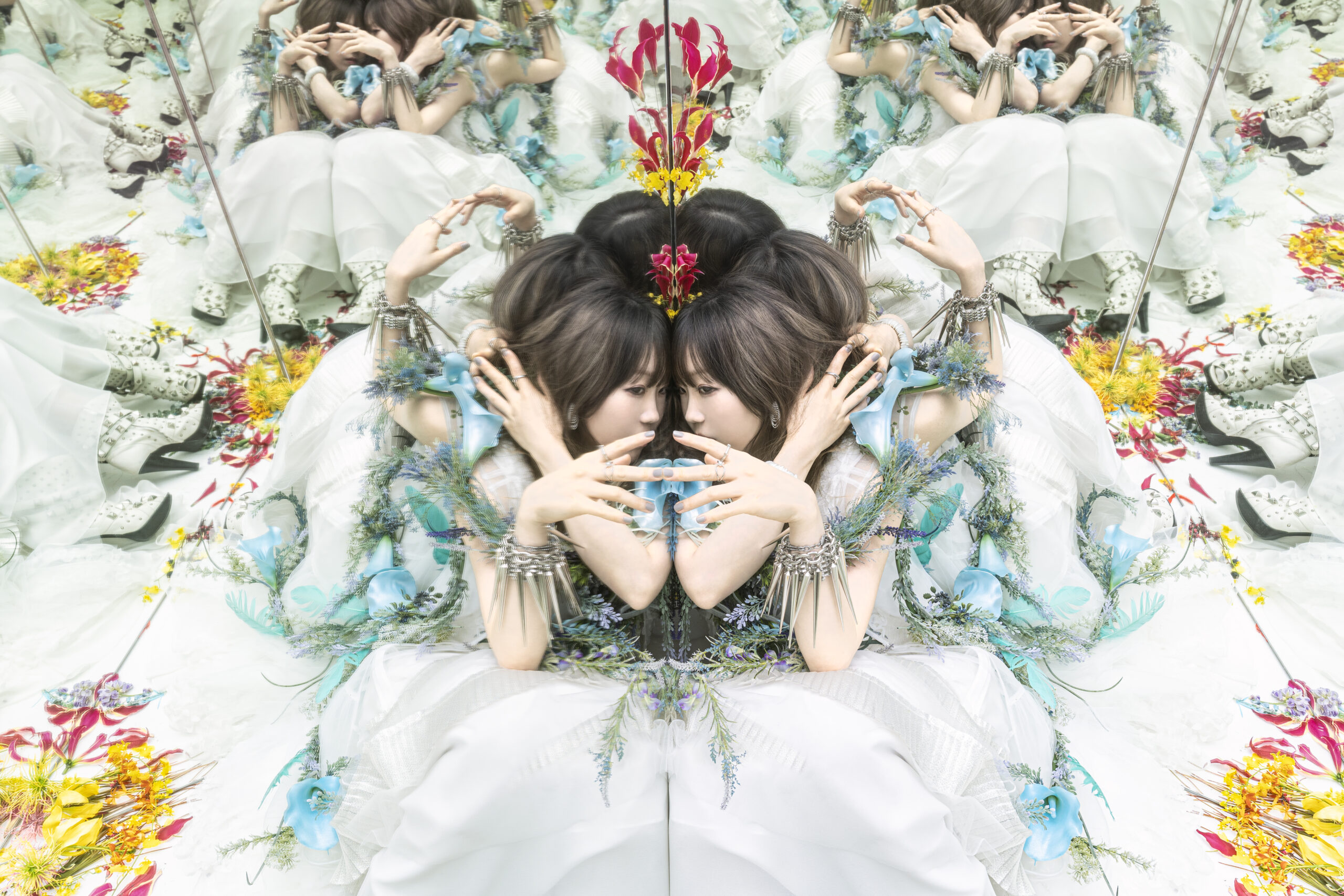 Aimer】11月12日(水)リリース 27th Single「Little Bouquet / Pastoral