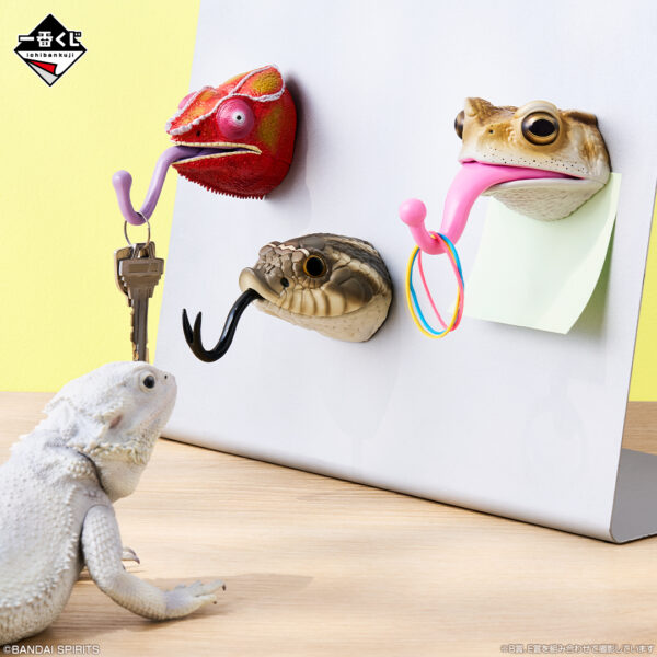 爬虫類＆両生類」だけの一番くじ第2弾が7月25日より発売