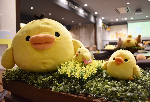 かわいさに癒される！福岡にタワレコ×“キイロイトリ”のコラボカフェが