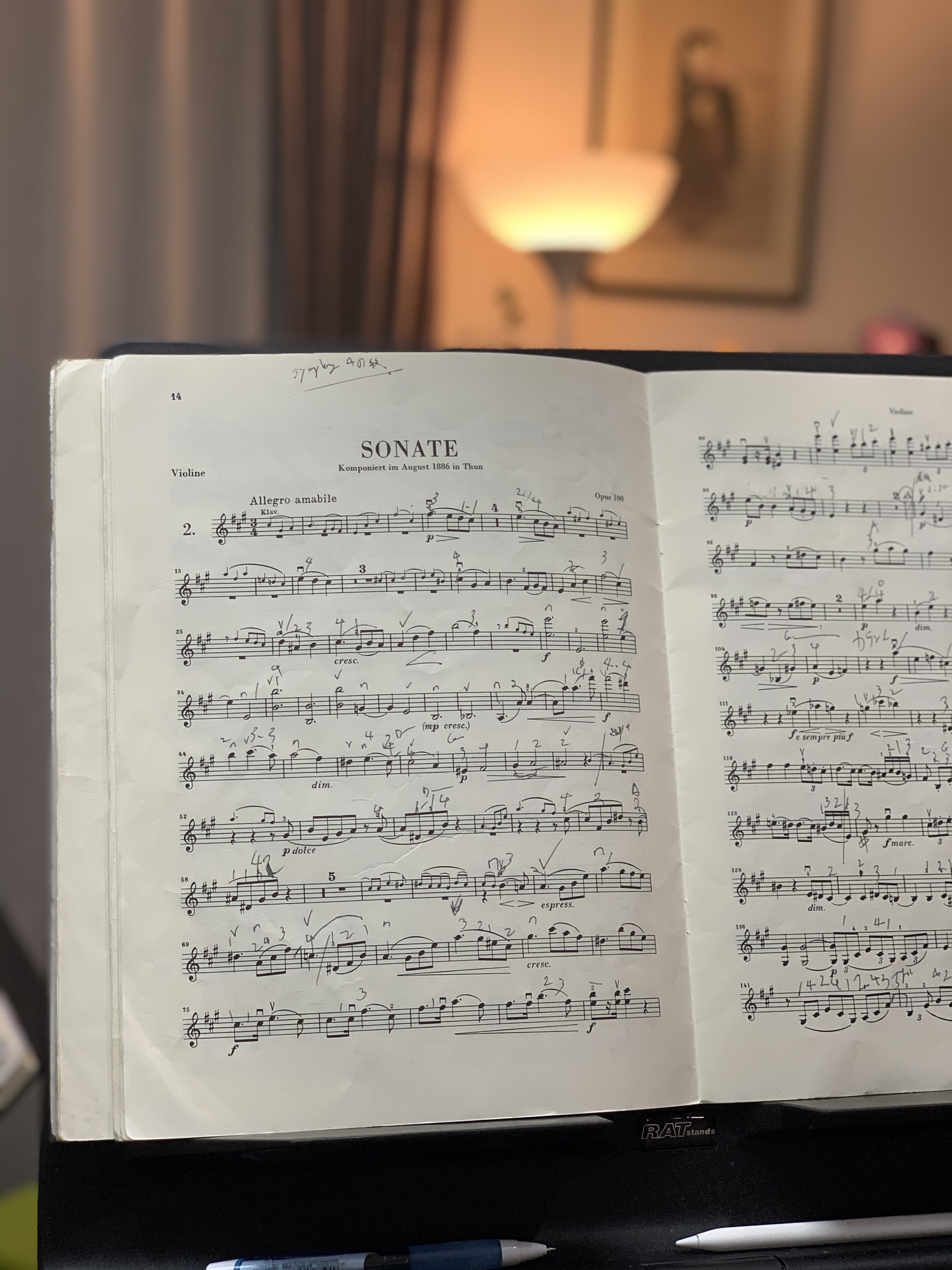 ブラームス ヴァイオリンソナタ第2番│東京練馬から世界へ