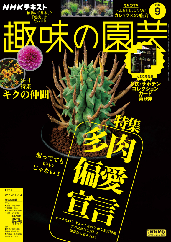 NHK 趣味の園芸 2025年9月号 | NHK出版