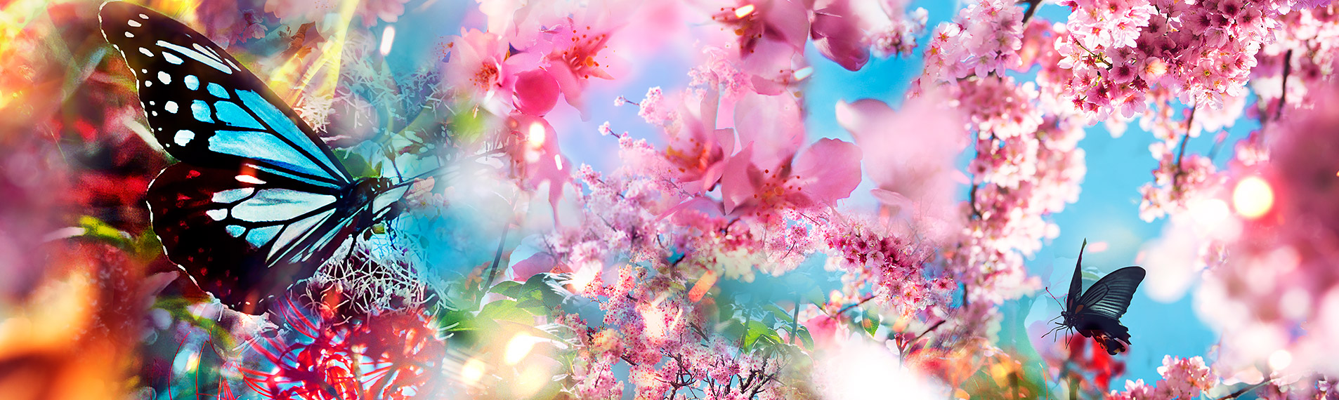 チケット情報 ｜【公式】蜷川実花展 with EiM：彼岸の光、此岸の影