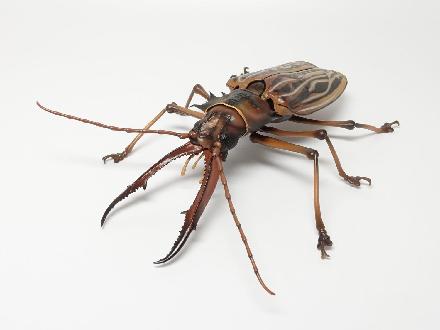 バンダイ いきもの大図鑑アドバンス オオキバウスバカミキリとハンミョウ