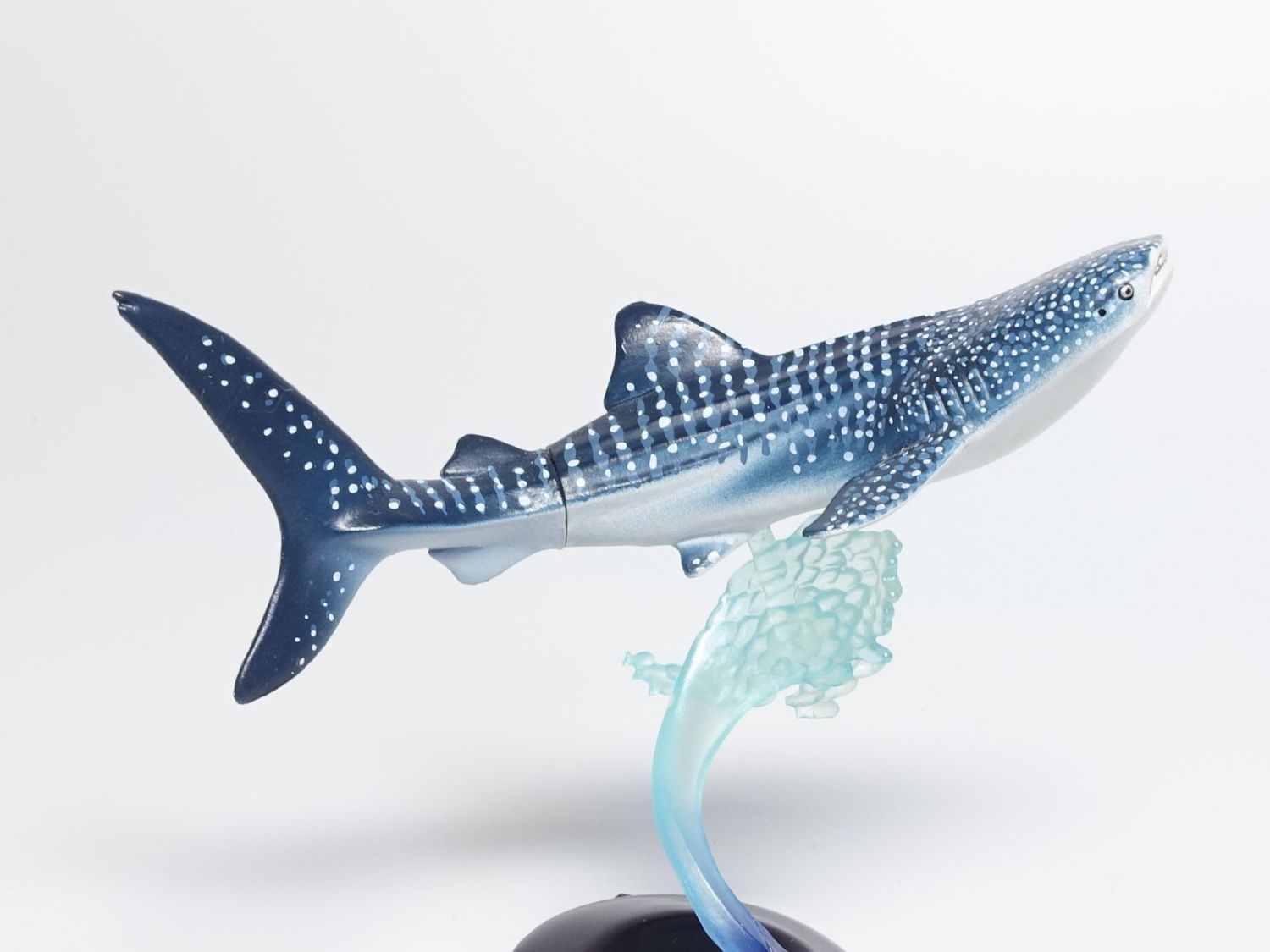 ネイチャーテクニカラー 海遊館ミュージアム ページ2