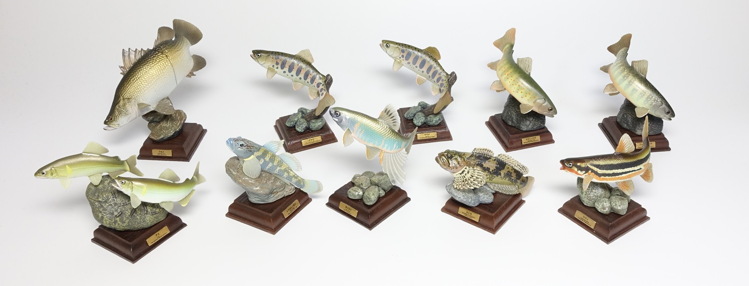 ネイチャーテクニカラー 日本の清流 その1