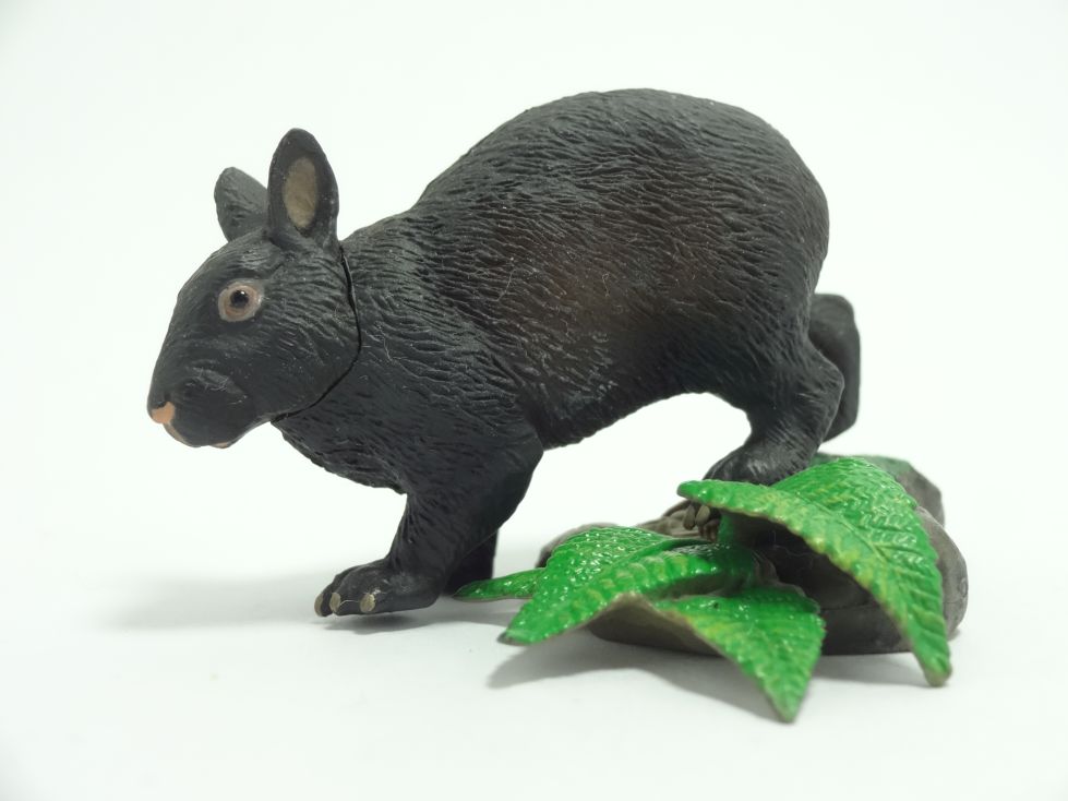 週刊日本の天然記念物