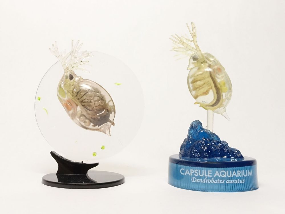 カプセルQミュージアム ミクロコスモス プランクトン大全