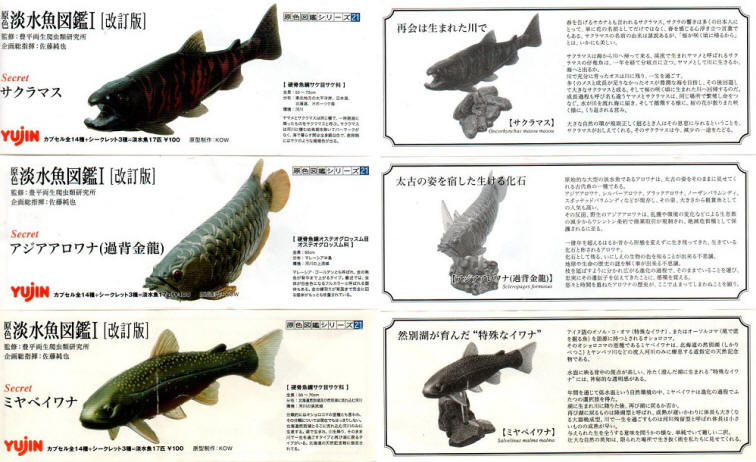 原色淡水魚図鑑1[改訂版]