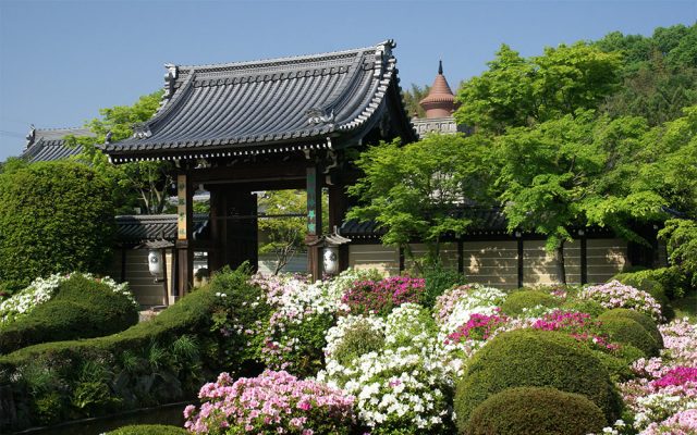 顕本法華宗 | 日蓮聖人門下連合会