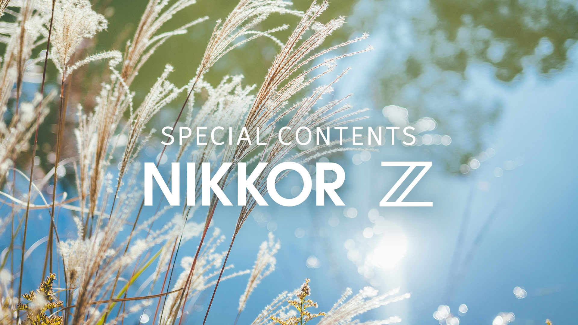 NIKKOR Z 40mm f/2（SE） - 概要 | NIKKORレンズ | ニコン