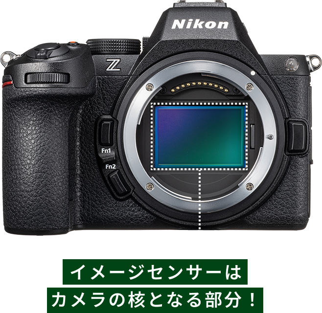 ニコンZシリーズではじめる フルサイズカメラ START GUIDE | ニコン