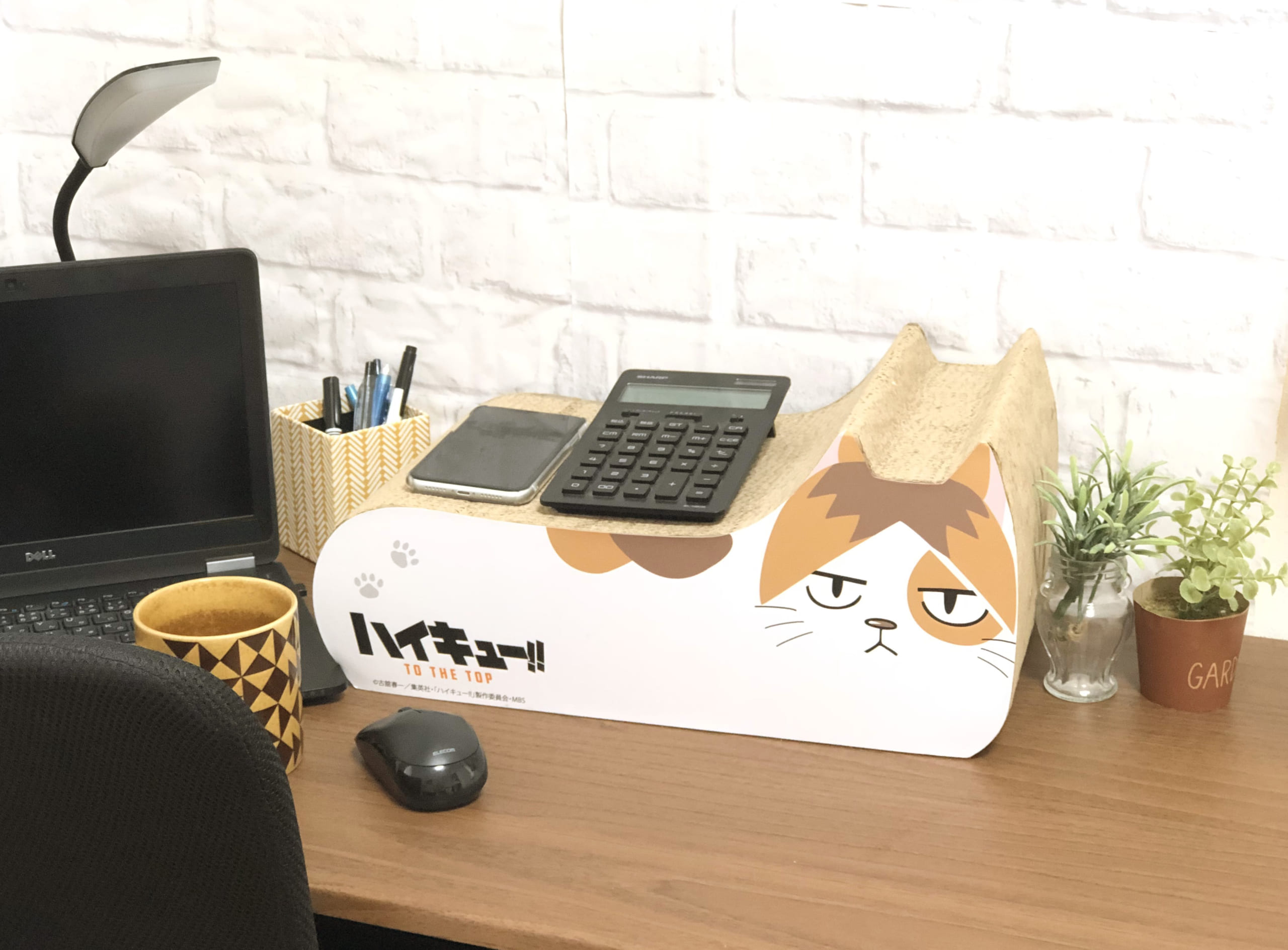 ハイキュー」黒尾＆研磨ネコが激カワ！音駒高校と猫がテーマの