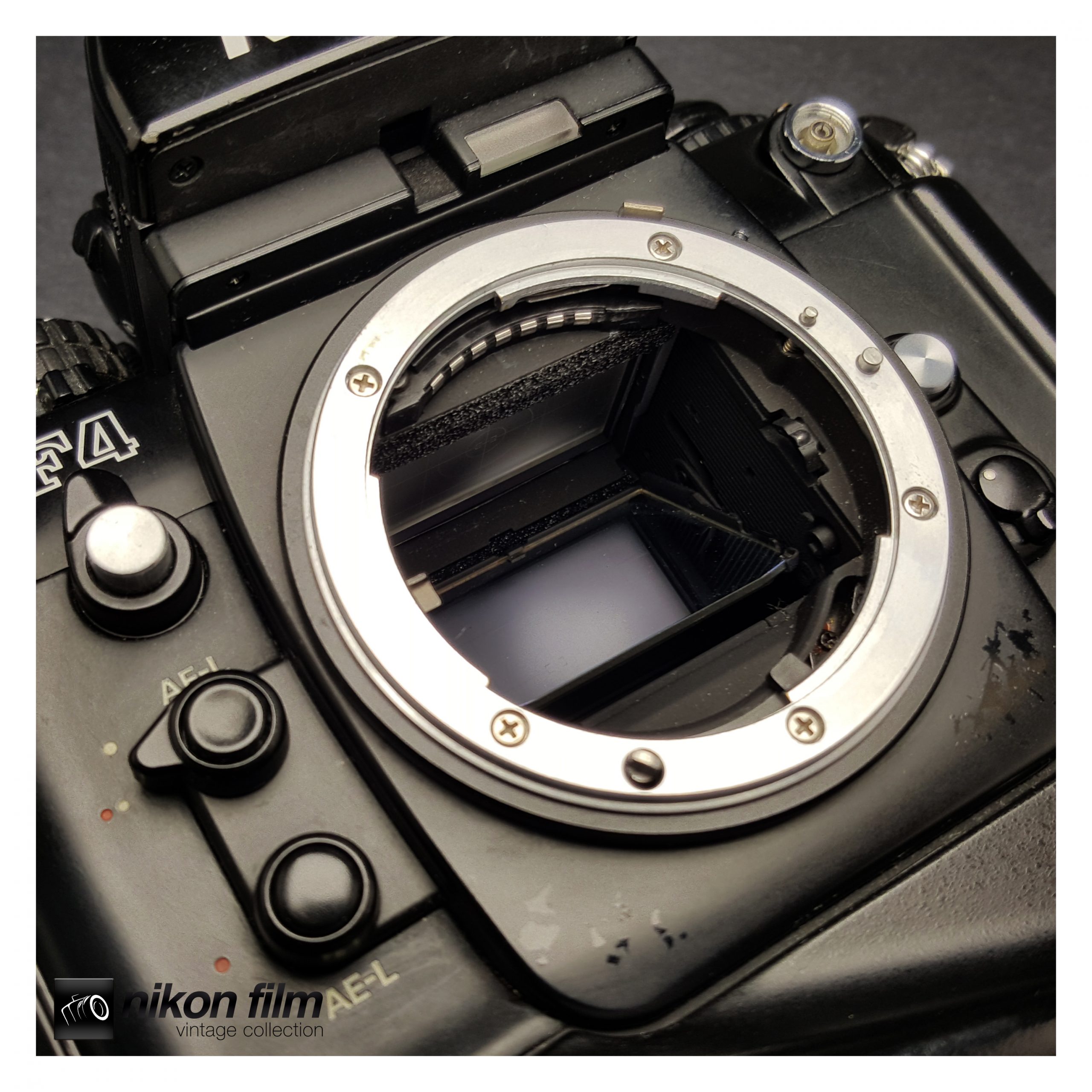 Nikon F4S (MB-21) - Boxed -