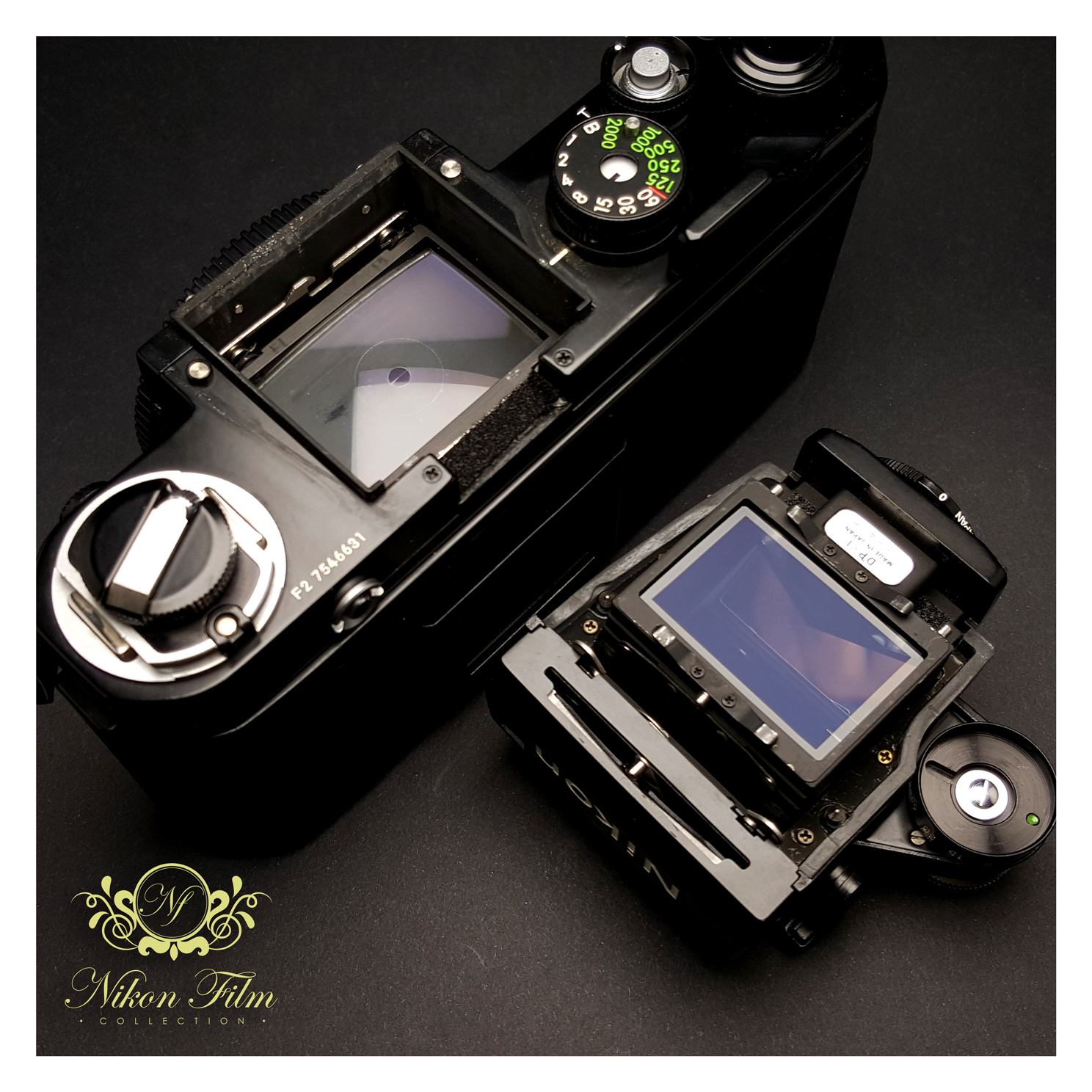 Nikon F2 Photomic (DP-1 Prism) - Black -