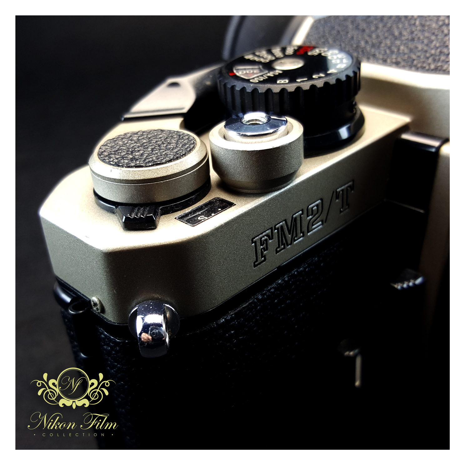 Nikon FM2T - Titanium - NIKON-FILM
