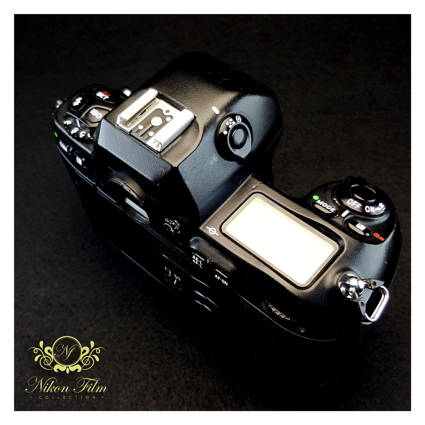 Nikon F100 - NIKON-FILM