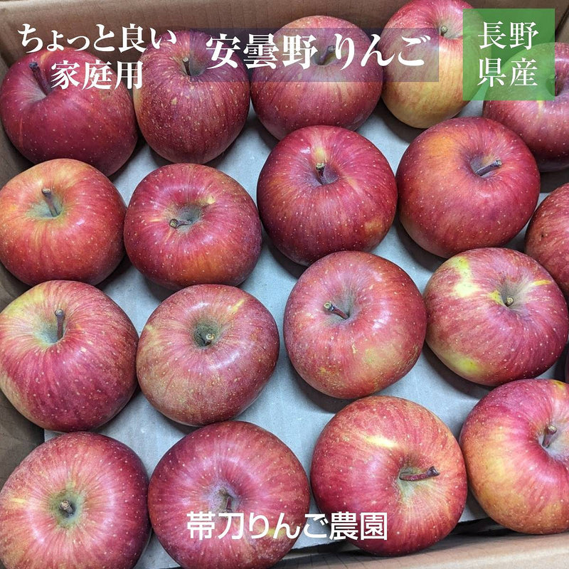 りんご 【帯刀りんご農園】 サンフジ 10kg 32～40個 ちょっぴり良い