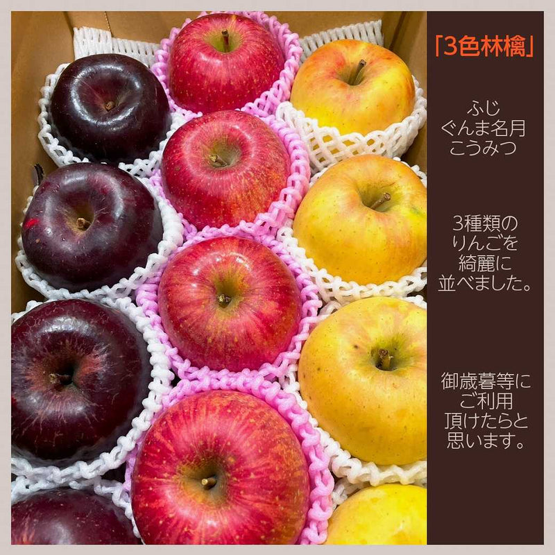 りんご 【佐藤果樹園】 御歳暮 3種の林檎セット ふじ ぐんま名月 こう