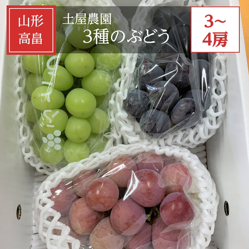 ぶどう 【土屋農園】 葡萄 詰め合わせ 約2kg 3～4房 シャイン