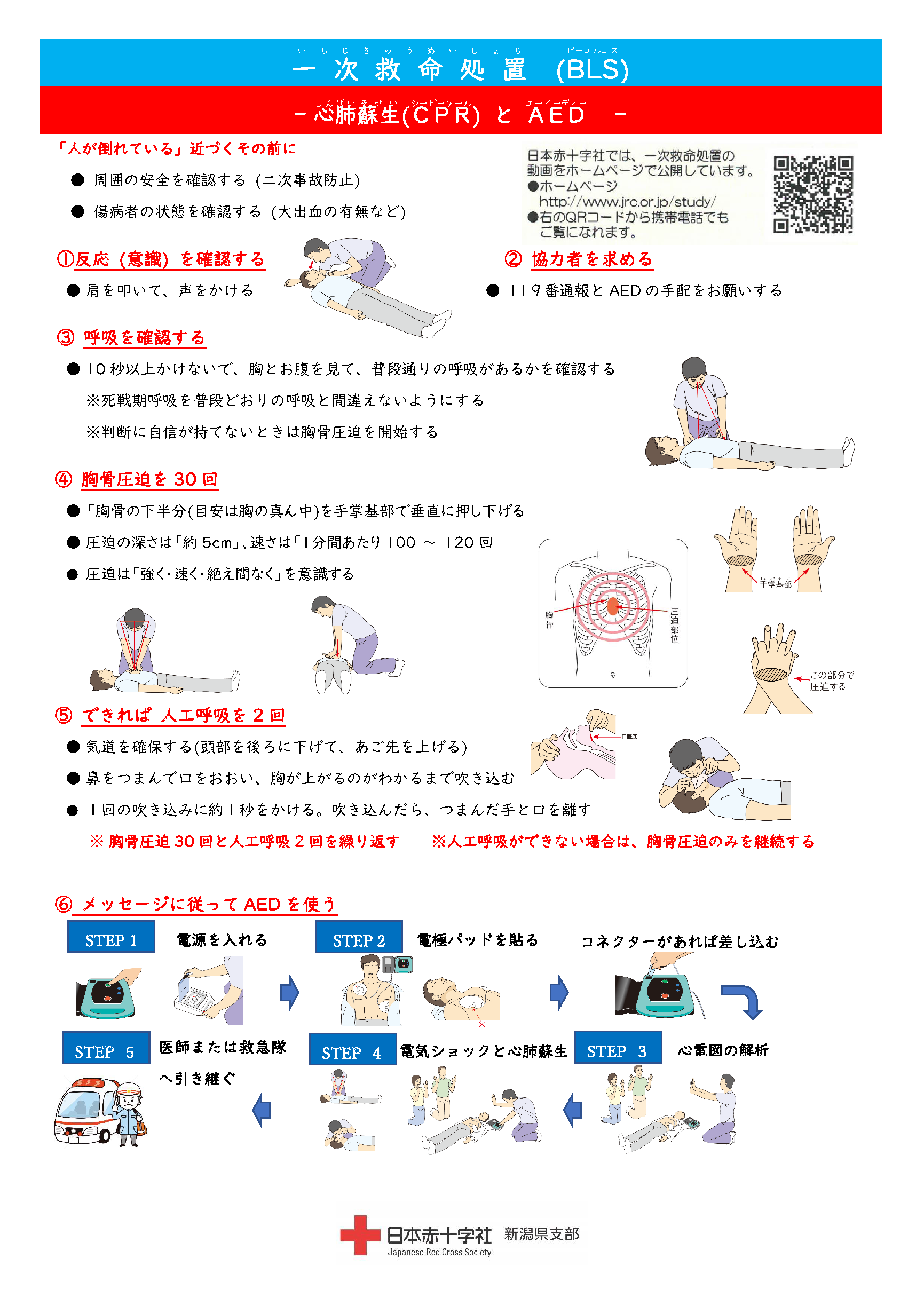基礎講習 - 赤十字講習会申込システム