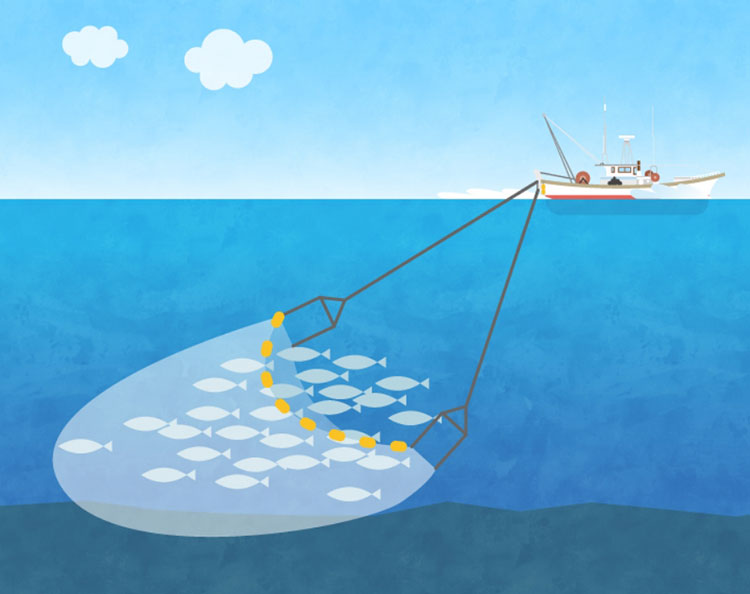 新潟の漁場と漁法 - JF新潟漁連｜新潟県漁業協同組合連合会