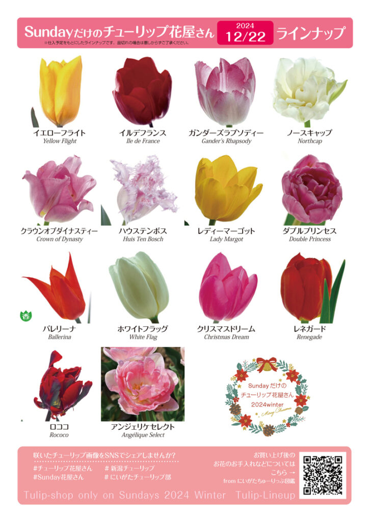 にいがた ちゅーりっぷ図鑑 | クリスマス花屋さん2024終了